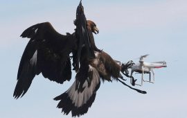 Drone’ları Avcılık Aracı Olarak Kullanmak Yasal mı?