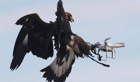 Drone’ları Avcılık Aracı Olarak Kullanmak Yasal mı?